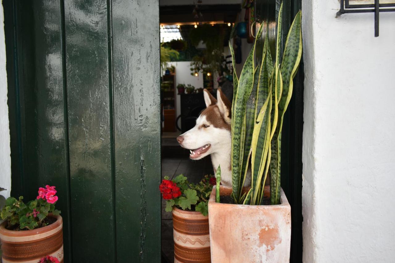 Hospedaje La Casa De Chavela Centro Historico Villa de Leyva Εξωτερικό φωτογραφία